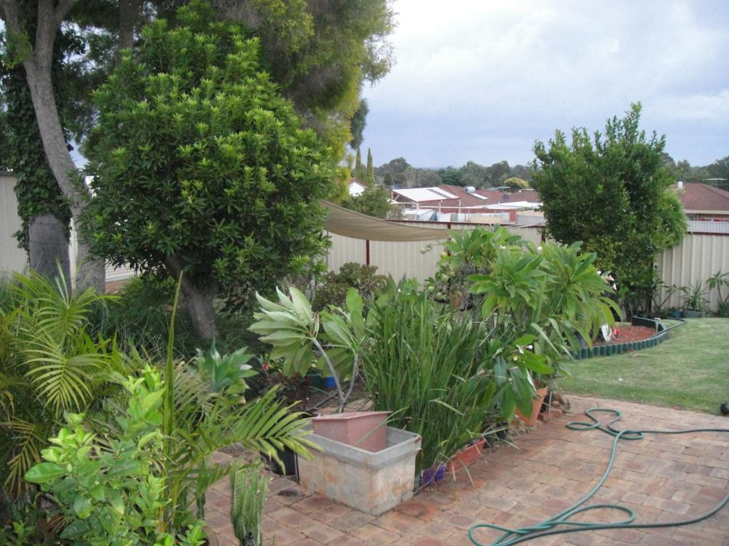 Armadale Cottage Bed & Breakfast Redcliffe Εξωτερικό φωτογραφία